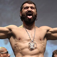 Andrei Arlovski To Face Brett Rogers