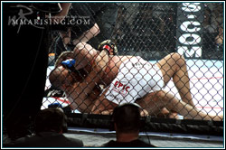 Antonio Rogerio Nogueira (bottom) vs Todd Gouwenberg (top)